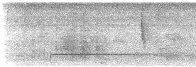 Little Tinamou - ML616051063