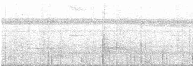 Slaty-tailed Trogon (Massena) - ML616051094