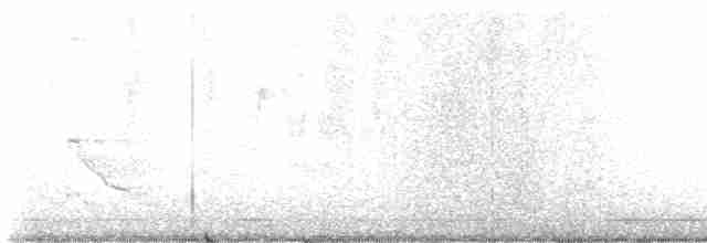 Длиннохвостый крапивник - ML616051111