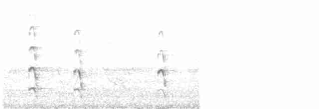 Common Tern - ML616051325