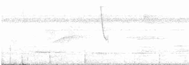 シロオビハリオアマツバメ - ML616051697