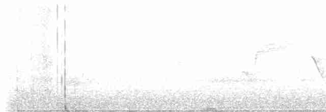 Bewick Çıtkuşu - ML616052103