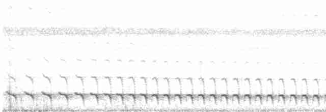 White-tailed Trogon - ML616052172