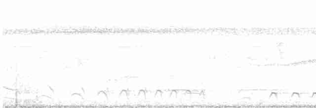 Белохвостый трогон - ML616052176
