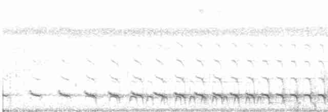 White-tailed Trogon - ML616052182