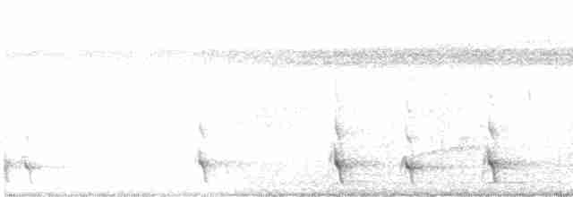 Белохвостый трогон - ML616052184