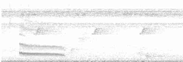 Braunrücken-Ameisenvogel - ML616052193