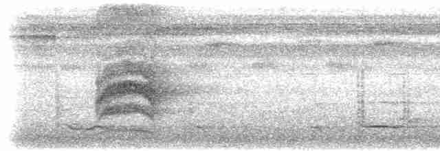 Braunrücken-Ameisenvogel - ML616052549