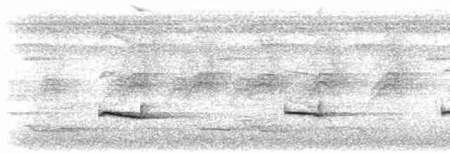 Віреончик білочеревий - ML616052595