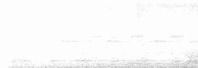 Slaty-tailed Trogon - ML616054930