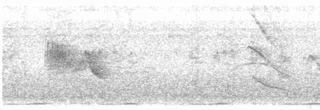 Güneyli Sert Kanatlı Kırlangıç - ML616054933