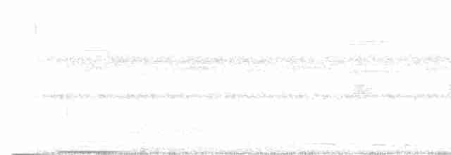 Striped Cuckoo - ML616055688