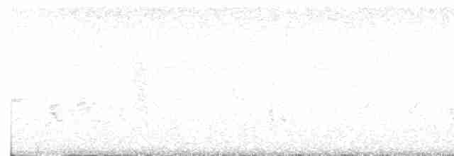 Яструб чубатий - ML616055798