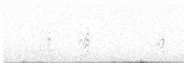 Australseeschwalbe - ML616057371