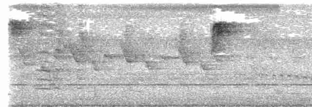 Psittacule double-oeil - ML616057910