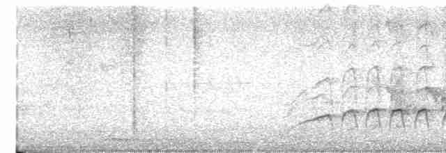 斑翅鳳頭鵑 - ML616058164