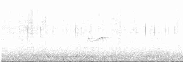 Yellow-bellied Flycatcher - ML616058706