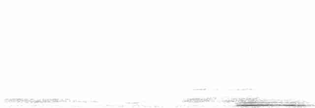 褐林鴞 - ML616059055