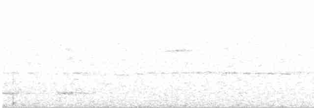 svarthodefluesnapper - ML616059148