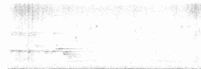 White-cheeked Barbet - ML616059192