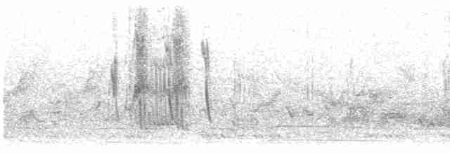 Cratérope roussâtre - ML616059521