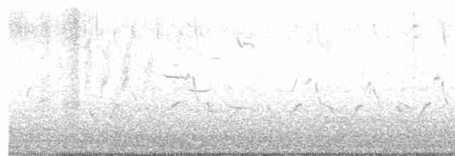 kulík hnědokřídlý - ML616059888