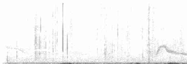 Pauraquenachtschwalbe - ML616061393