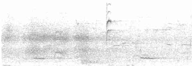 White-throated Kingfisher - ML616062317
