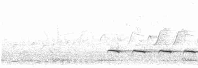 Graubrustdrongo - ML616063404