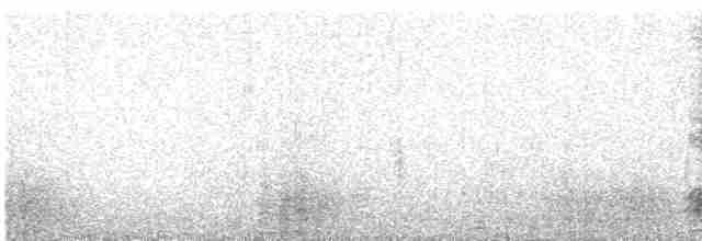 Kara Leş Kargası - ML616063930