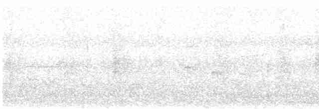 gråkronefulvetta - ML616064135