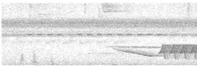 Troglodyte coraya - ML616064328