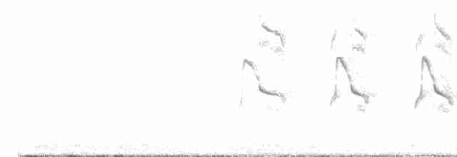Кратеропа аравійська - ML616066571