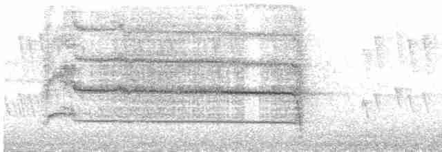 Kestane Kulaklı Arapbülbülü - ML616066675