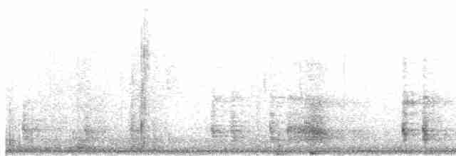 Red-legged Partridge - ML616068272