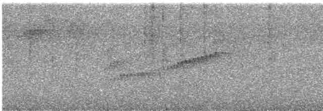 Поплітник плямистий - ML616068522