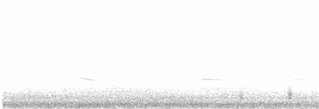 Куріпка біла (підвид scotica) - ML616068834
