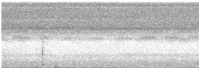 Ошейниковая совка - ML616069805