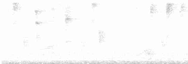 White-eyed Vireo - ML616070537