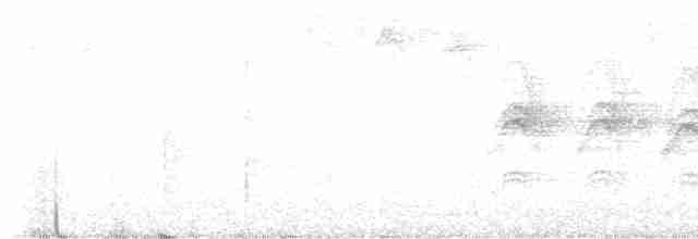 Віреончик білочеревий - ML616070672