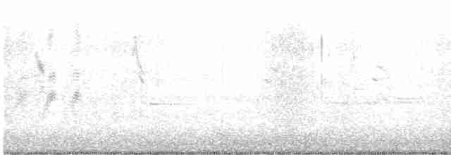 Lesser Goldfinch - ML616071385