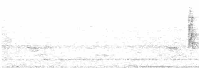 Малабарская нектарница - ML616072585