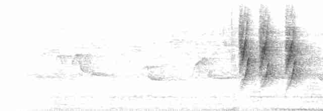 Малабарская нектарница - ML616072587