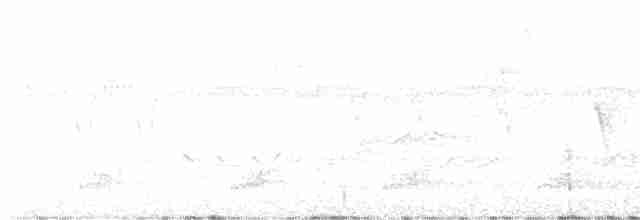 Toucan à carène - ML616072647