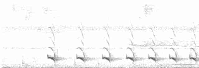 Kara Karıncaavcısı - ML616073053