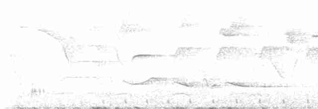 Зернолуск білогорлий - ML616073078