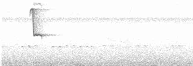 Светлобрюхий колибри-отшельник - ML616073113
