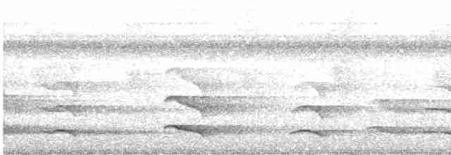 tukan žlutohrdlý - ML616073195