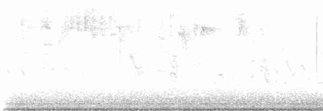 Kara Gözlü Junko - ML616073536