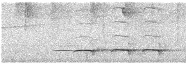 Ak Karınlı Yerçavuşu - ML616073538